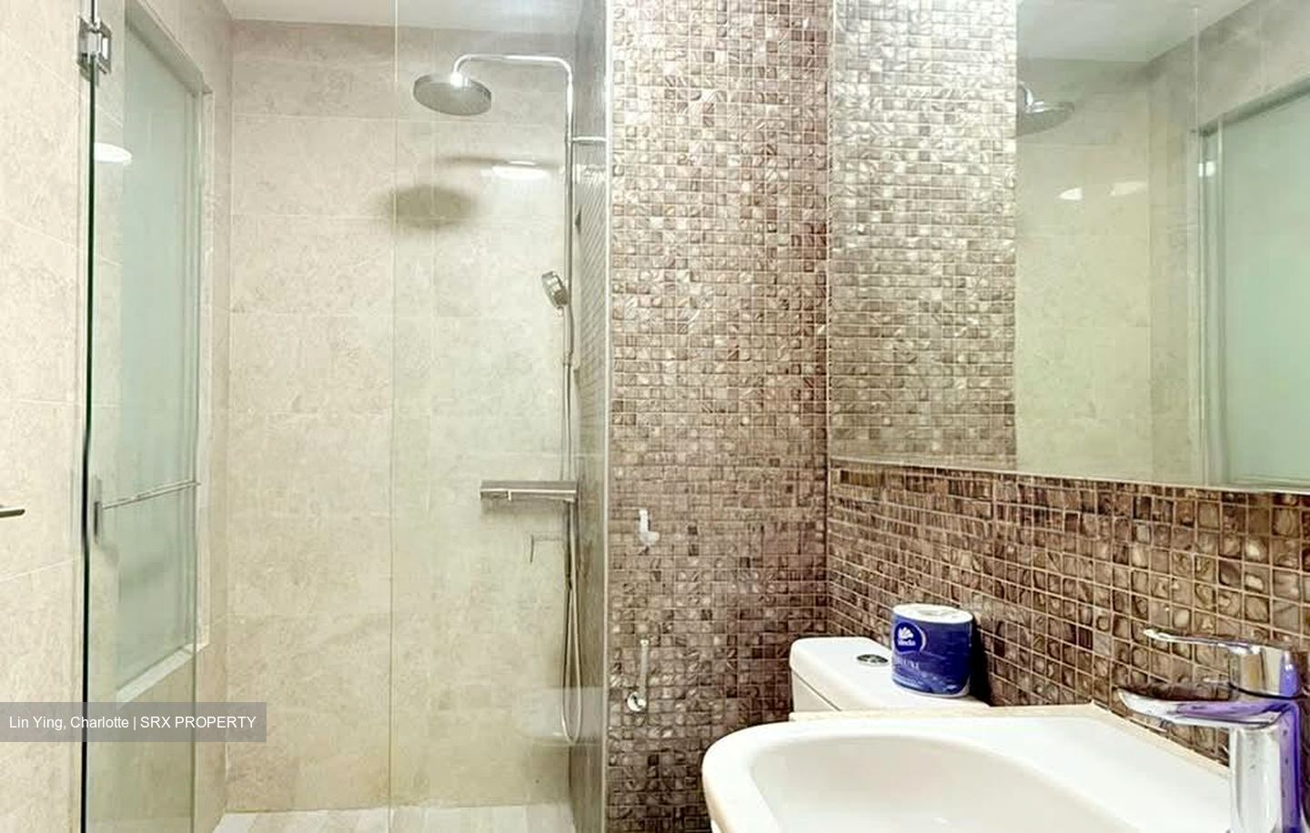 La Fiesta (D19), Condominium #563387921
